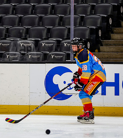 Honda Hockey-41-39