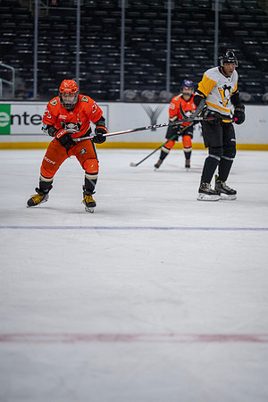 31-_NIK1246