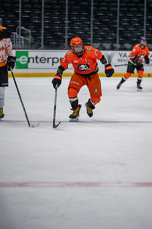 33-_NIK1248