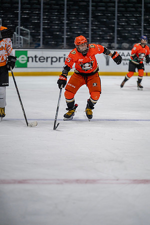 34-_NIK1249