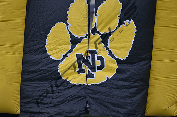 DSC_6926 1