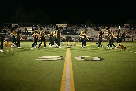 DSC_1991