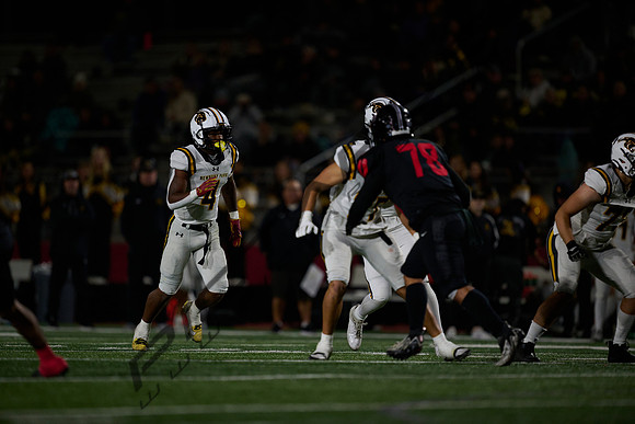 DSC_1951