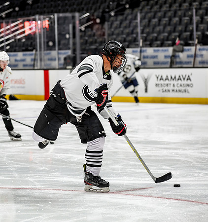Honda Hockey-19-17
