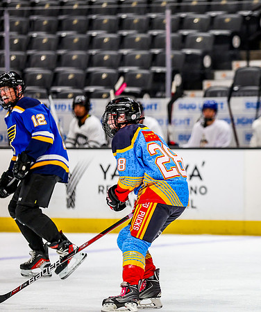 Honda Hockey-79-72