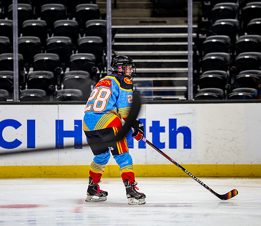 Honda Hockey-82-74