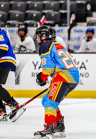 Honda Hockey-79-72