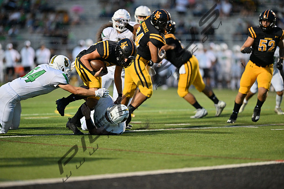DSC_0061