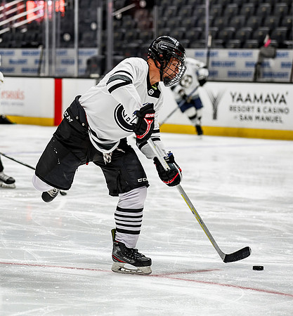 Honda Hockey-19-17