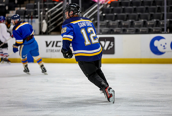 Honda Hockey-73-66