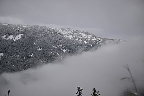 DSC_1625