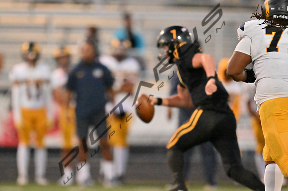 DSC_0239
