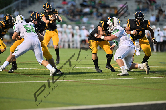 DSC_0038
