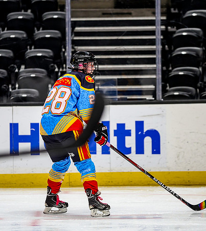 Honda Hockey-82-74