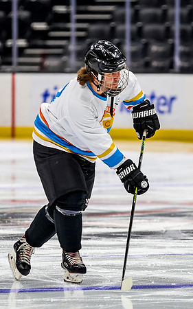 Honda Hockey-7-6
