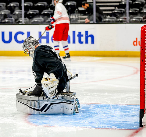 Honda Hockey-12-11