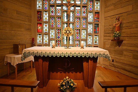 DSC_4515